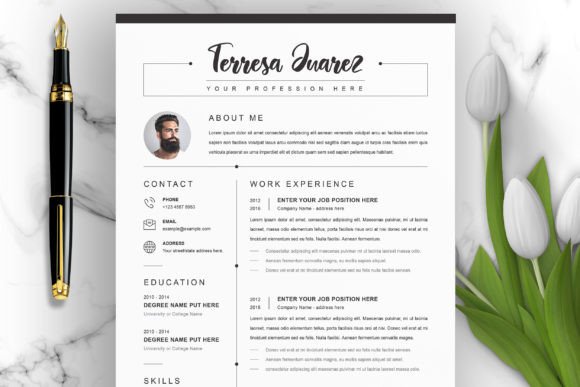 Download Professional Clean Resume/CV - Professional clean Collection