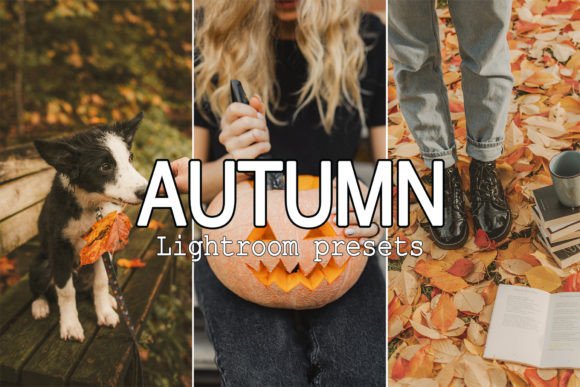 Download 9 Warm Tone Fall Lightroom Presets - Premium Resources