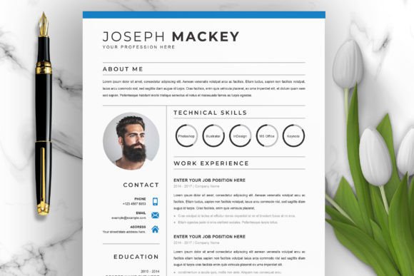 Download Professional Clean Resume/CV - Professional clean Collection