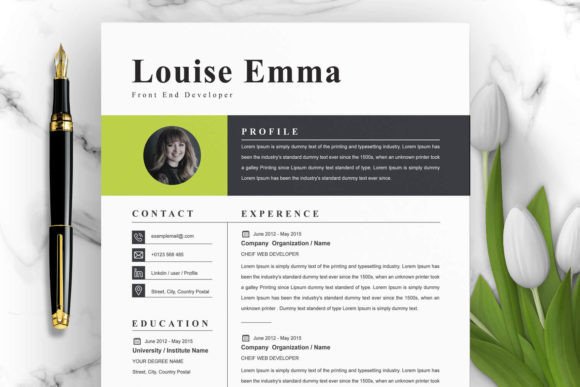 Download Professional Clean Resume Template - Professional clean Collection